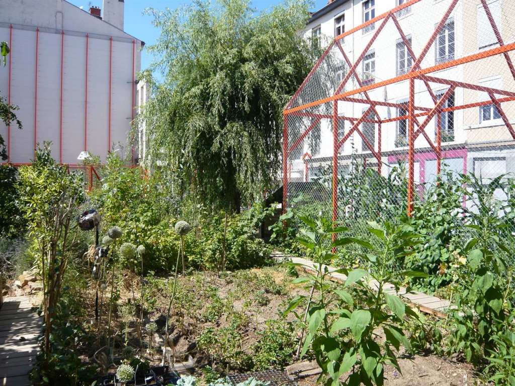 jardin ilot des amaranthes