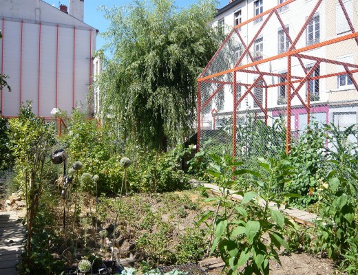 jardin ilot des amaranthes